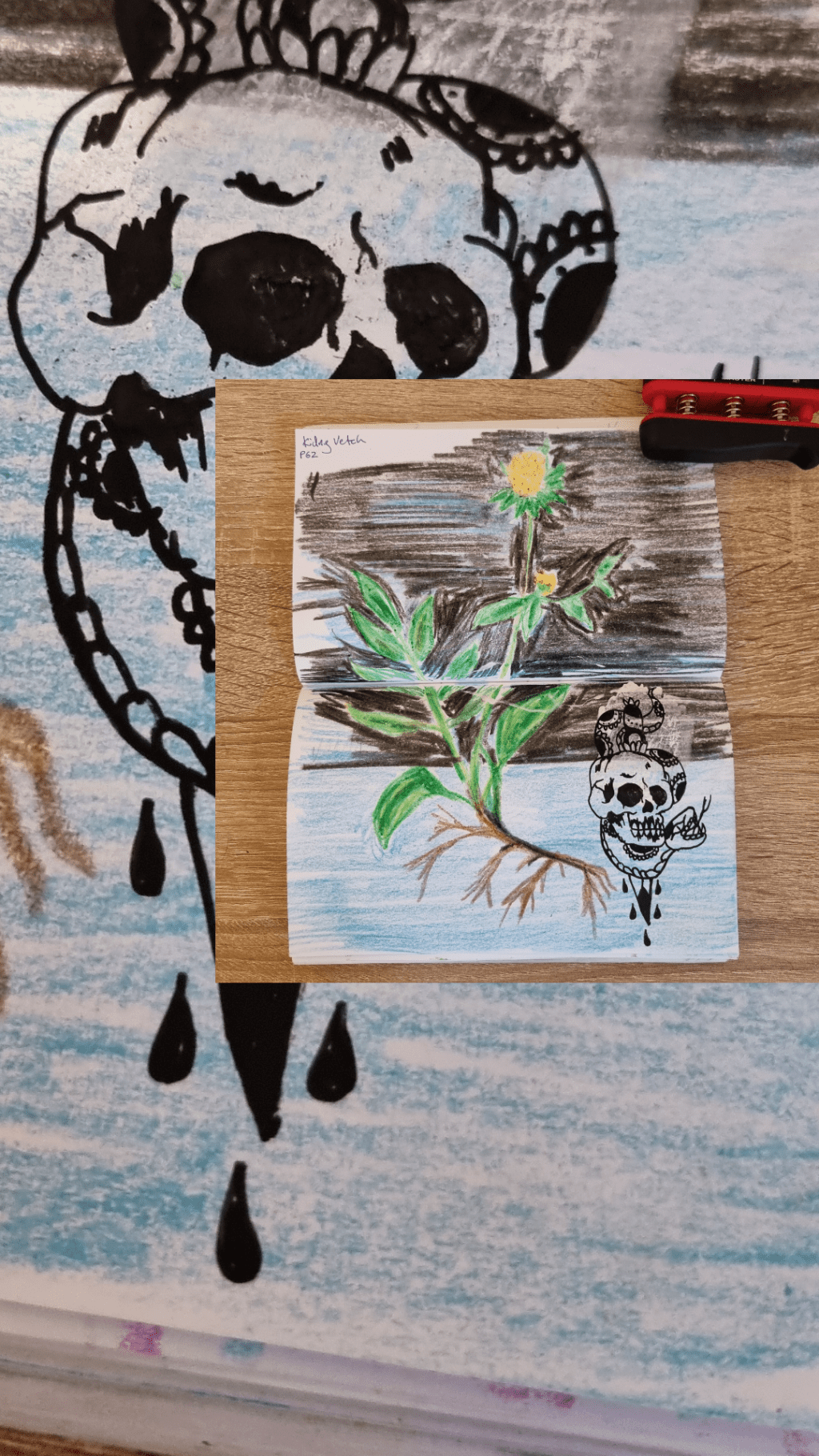 Kidney Vetch & Skull