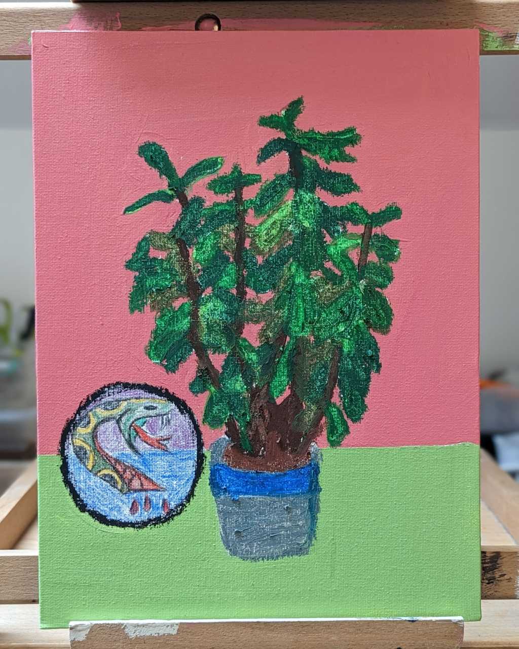 Jade Plant &&nbsp;Snake