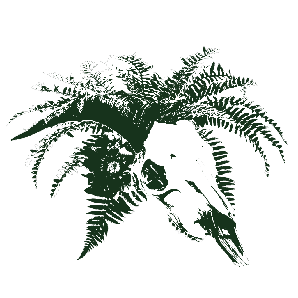 Digital Cut and&nbsp;Paste