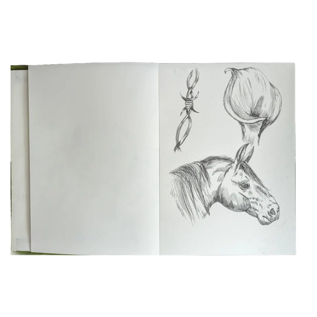 Recent Sketchbook work