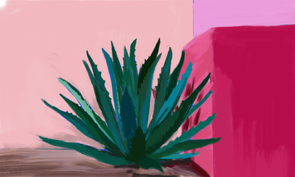 Digital Agave